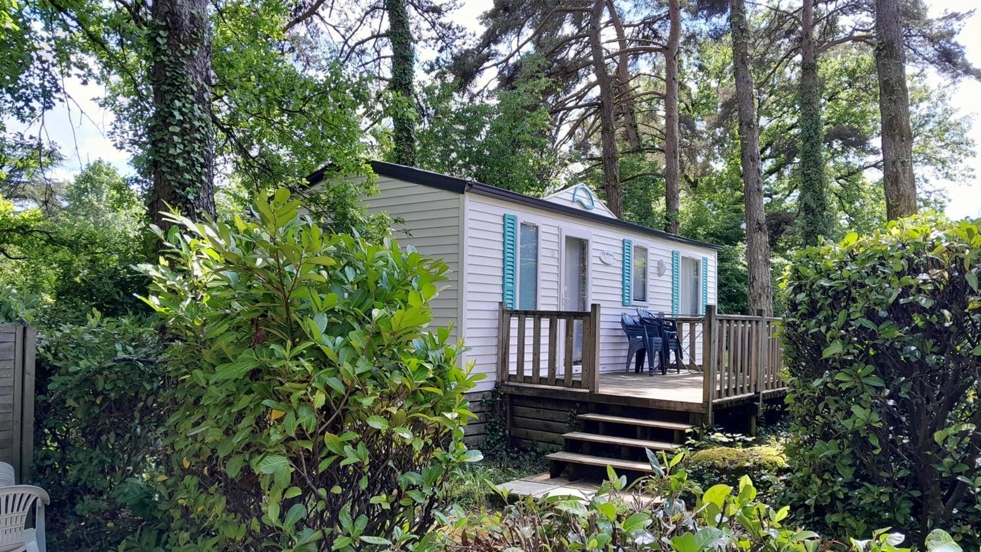 Camping 46 Rainettes Goujounac Eksteriør billede